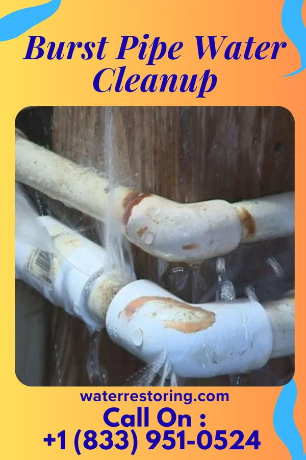 Burst Pipe Water Cleanup in Clymer, PA