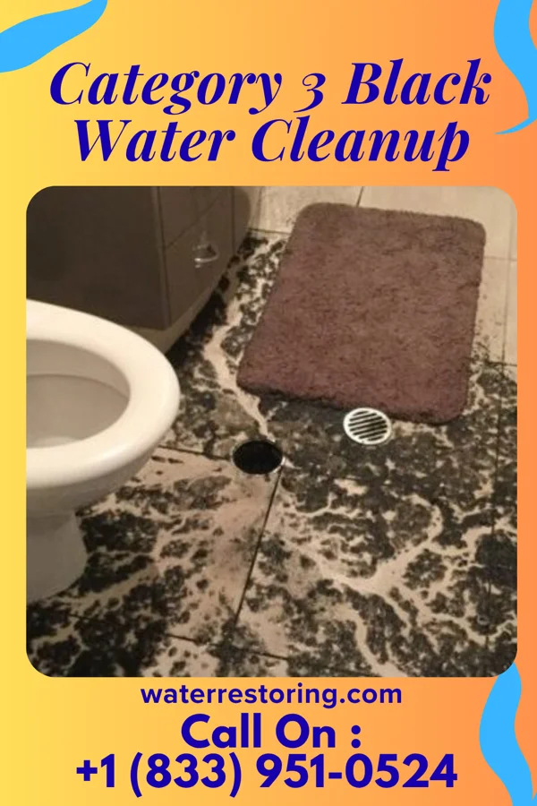 Category 3 Black Water Cleanup in Clymer, PA
