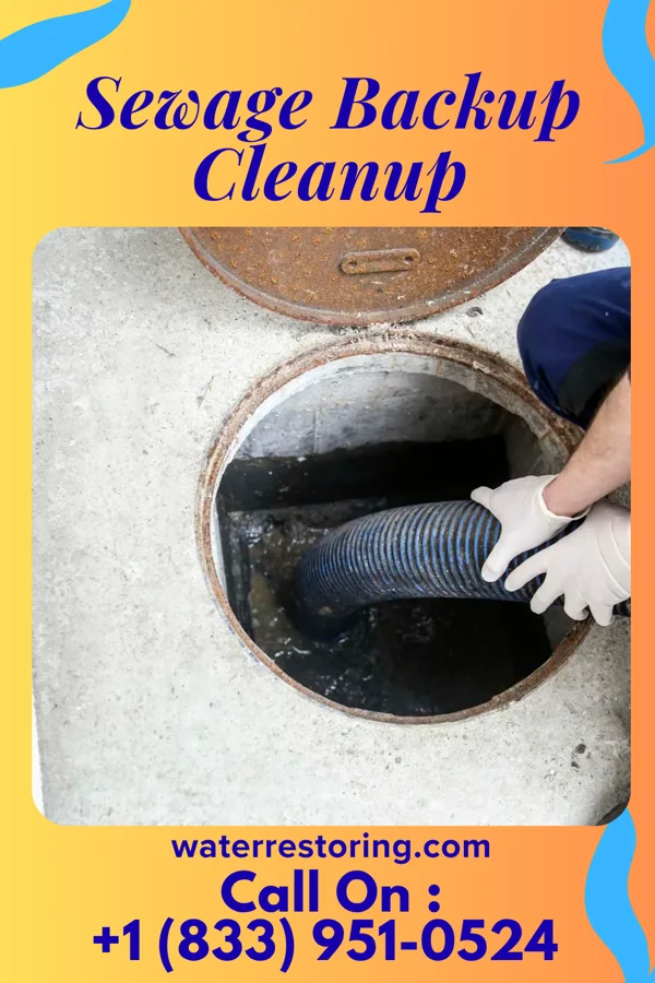 Sewage Backup Cleanup in Clymer, PA