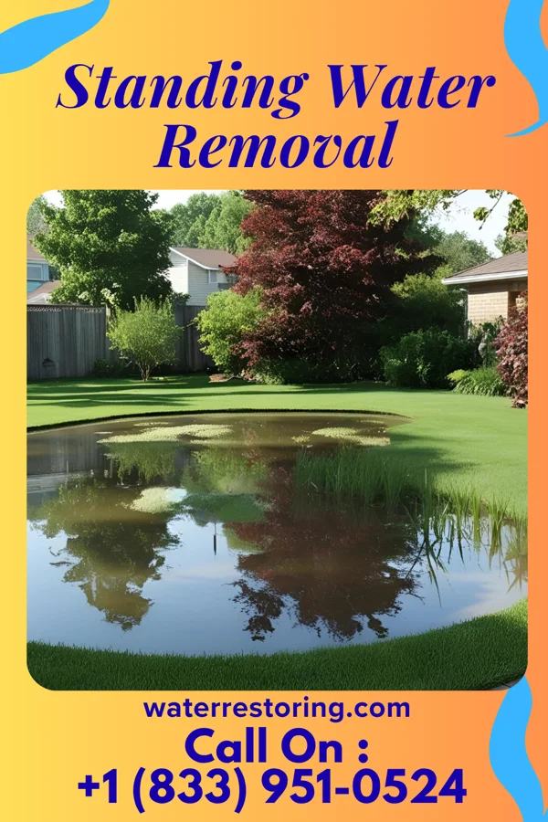 Standing Water Removal in Clymer, PA